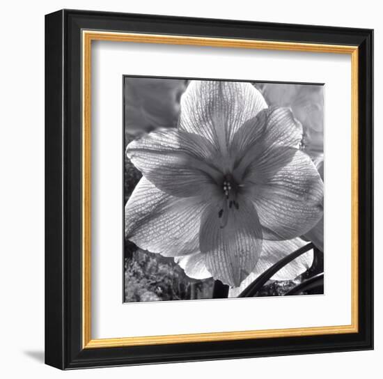 Lily Grace-Richard Sutton-Framed Art Print