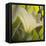 Lily Green-Jan McLaughlin-Framed Stretched Canvas