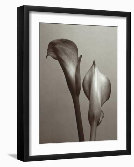 Lily I-Bill Philip-Framed Giclee Print