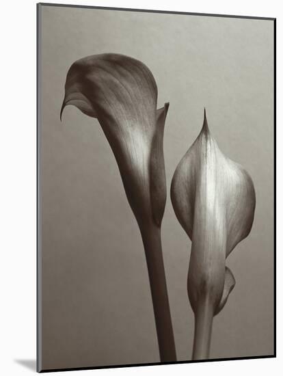 Lily I-Bill Philip-Mounted Giclee Print