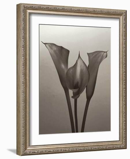 Lily II-Bill Philip-Framed Giclee Print