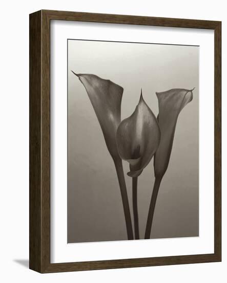 Lily II-Bill Philip-Framed Giclee Print