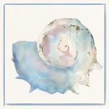 Seashell Serenade III-Lily K-Art Print