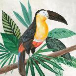 Tropical Birds I-Lily K-Framed Art Print
