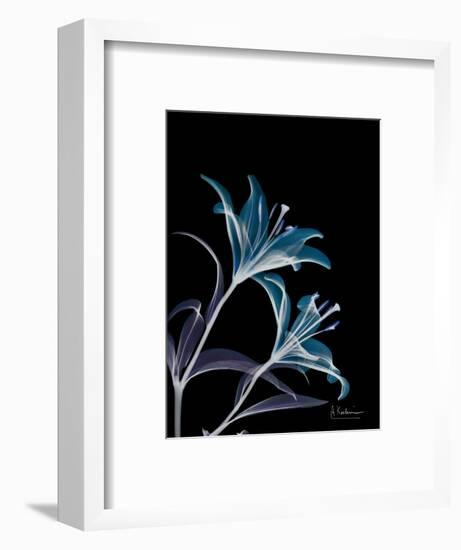 Lily L145-Albert Koetsier-Framed Premium Giclee Print