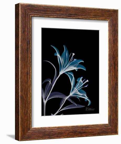 Lily L145-Albert Koetsier-Framed Art Print