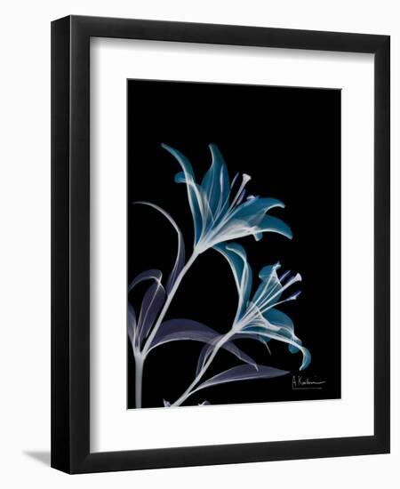 Lily L145-Albert Koetsier-Framed Art Print