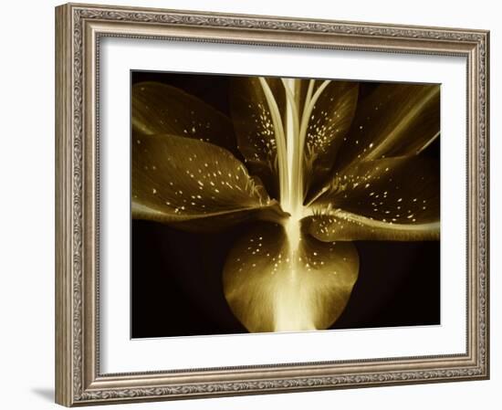 Lily Landscape-Irene Suchocki-Framed Photographic Print