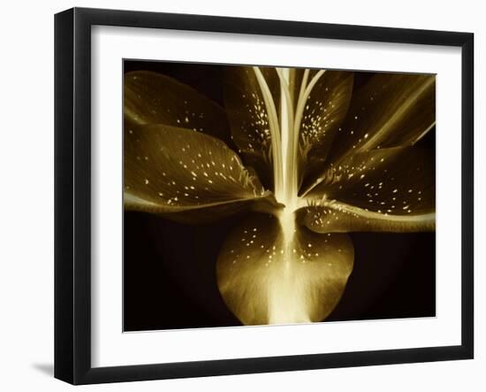 Lily Landscape-Irene Suchocki-Framed Photographic Print