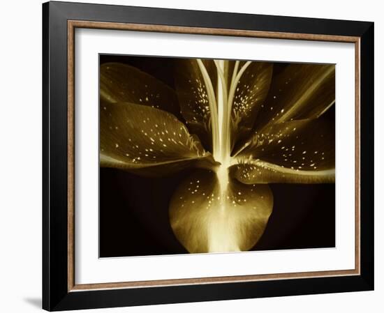 Lily Landscape-Irene Suchocki-Framed Photographic Print