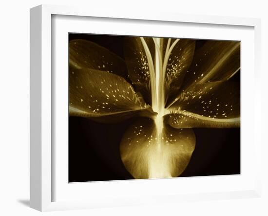 Lily Landscape-Irene Suchocki-Framed Photographic Print