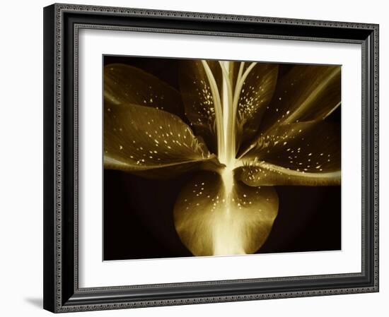 Lily Landscape-Irene Suchocki-Framed Photographic Print