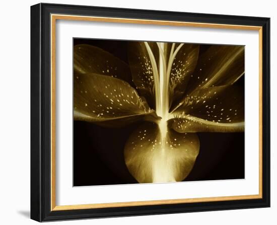 Lily Landscape-Irene Suchocki-Framed Photographic Print