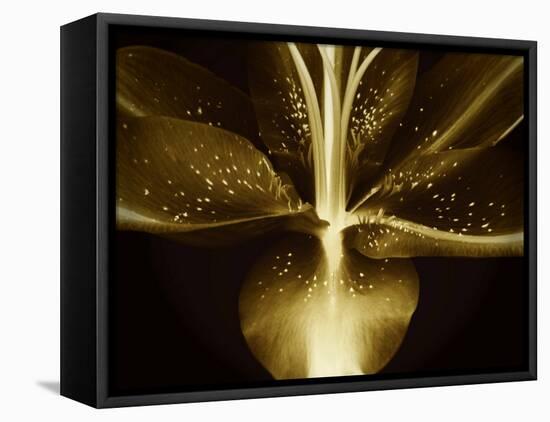 Lily Landscape-Irene Suchocki-Framed Premier Image Canvas