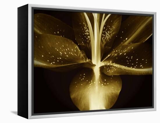 Lily Landscape-Irene Suchocki-Framed Premier Image Canvas