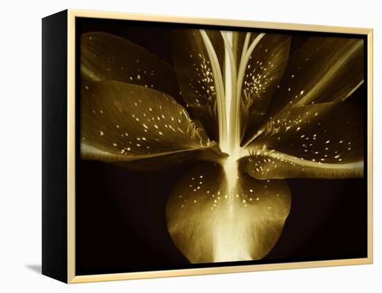 Lily Landscape-Irene Suchocki-Framed Premier Image Canvas