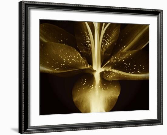 Lily Landscape-Irene Suchocki-Framed Photographic Print