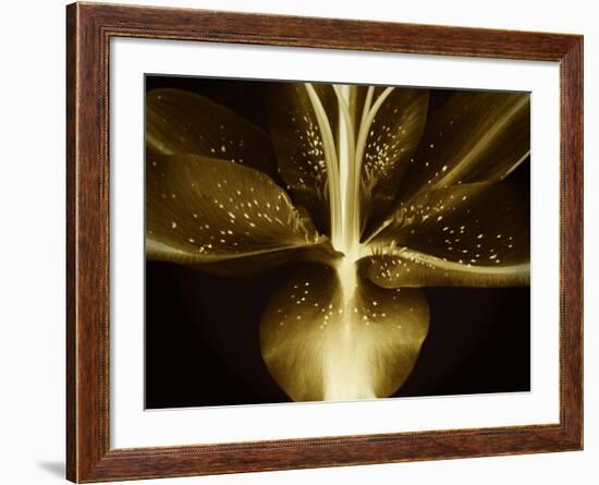 Lily Landscape-Irene Suchocki-Framed Photographic Print