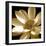 Lily Light I-Malcolm Sanders-Framed Giclee Print