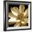 Lily Light I-Malcolm Sanders-Framed Giclee Print