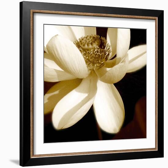 Lily Light II-Malcolm Sanders-Framed Giclee Print