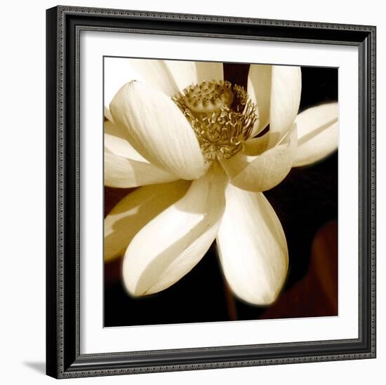 Lily Light II-Malcolm Sanders-Framed Giclee Print