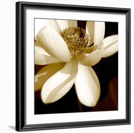 Lily Light II-Malcolm Sanders-Framed Giclee Print