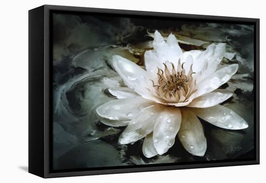 Lily Light-Joel Christopher Payne-Framed Premier Image Canvas