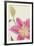 Lily Mist-Irene Suchocki-Framed Giclee Print