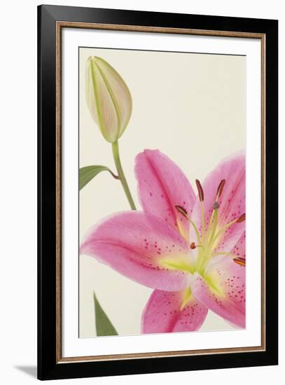 Lily Mist-Irene Suchocki-Framed Giclee Print