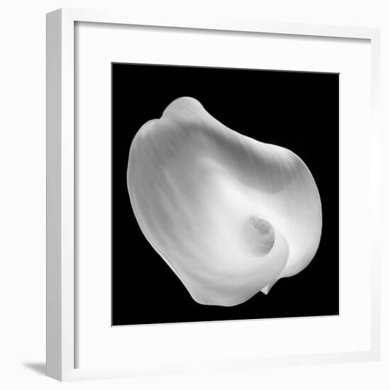 Lily Of Revelation, 2008-Hiroyuki Arakawa-Framed Photographic Print