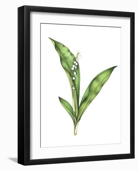 Lily of the Valley, Artwork-Lizzie Harper-Framed Photographic Print