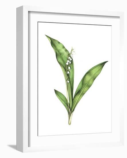 Lily of the Valley, Artwork-Lizzie Harper-Framed Photographic Print