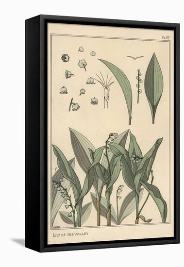 Lily of the Valley, Botanical Study, 1897 (Lithograph)-Eugene Grasset-Framed Premier Image Canvas