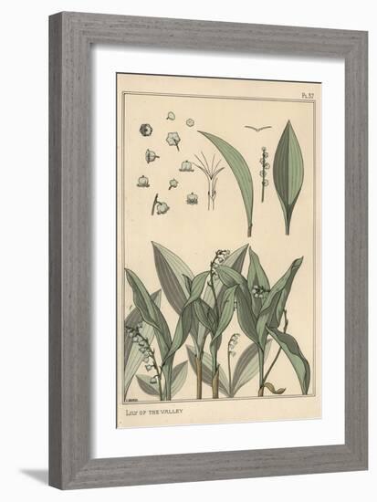 Lily of the Valley, Botanical Study, 1897 (Lithograph)-Eugene Grasset-Framed Giclee Print