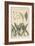 Lily of the Valley, Botanical Study, 1897 (Lithograph)-Eugene Grasset-Framed Giclee Print