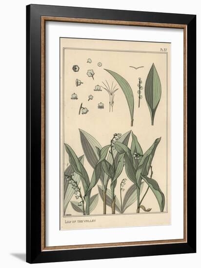 Lily of the Valley, Botanical Study, 1897 (Lithograph)-Eugene Grasset-Framed Giclee Print