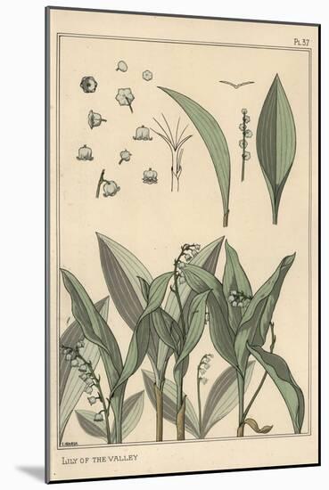 Lily of the Valley, Botanical Study, 1897 (Lithograph)-Eugene Grasset-Mounted Giclee Print