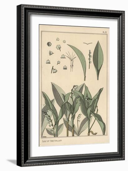 Lily of the Valley, Botanical Study, 1897 (Lithograph)-Eugene Grasset-Framed Giclee Print