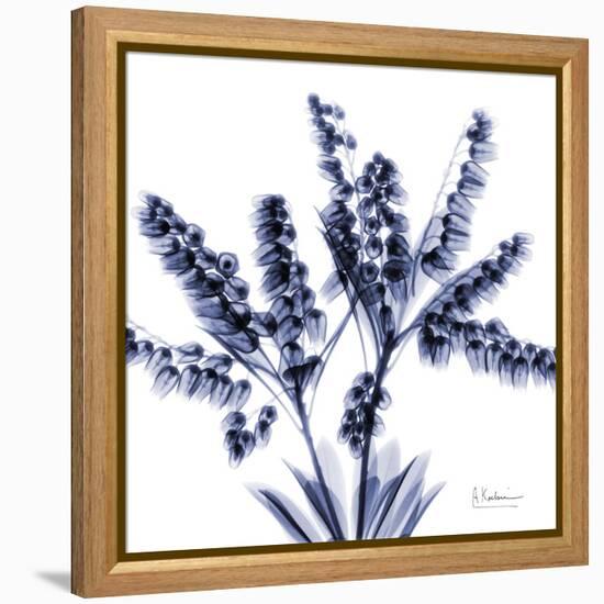 Lily of the valley bush-Albert Koetsier-Framed Stretched Canvas