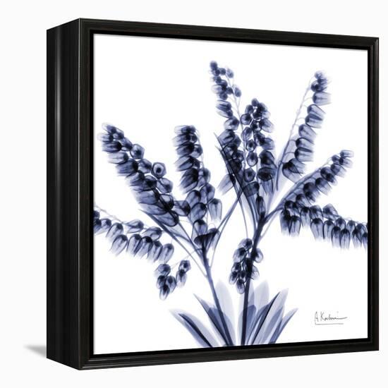 Lily of the valley bush-Albert Koetsier-Framed Stretched Canvas
