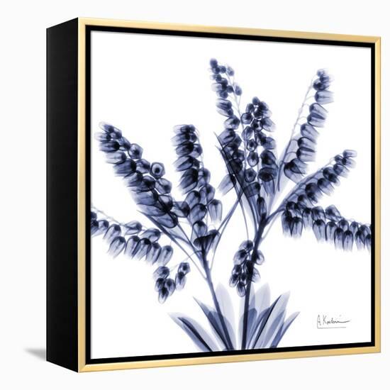 Lily of the valley bush-Albert Koetsier-Framed Stretched Canvas