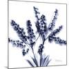 Lily of the valley bush-Albert Koetsier-Mounted Premium Giclee Print