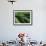 Lily of the Valley Closeup-Anna Miller-Framed Photographic Print displayed on a wall