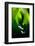 Lily of the valley hidden at the bottom of the forest in spring-Mateusz Piesiak-Framed Photographic Print