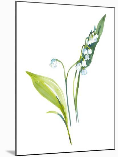 Lily of the Valley I-Sandra Jacobs-Mounted Giclee Print