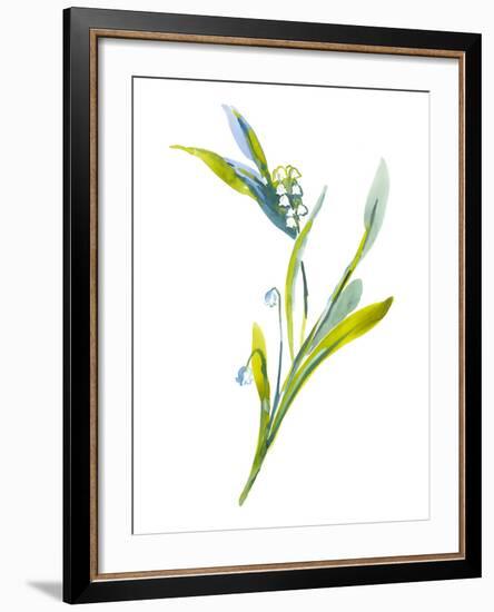 Lily of the Valley II-Sandra Jacobs-Framed Giclee Print