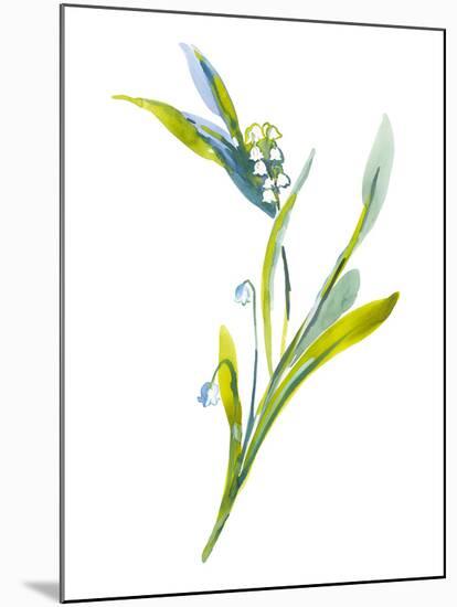 Lily of the Valley II-Sandra Jacobs-Mounted Giclee Print