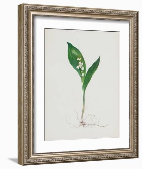 Lily of the Valley-Moritz Michael Daffinger-Framed Collectable Print