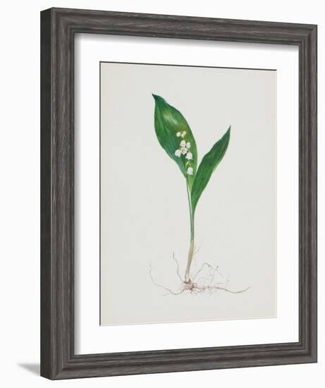 Lily of the Valley-Moritz Michael Daffinger-Framed Collectable Print